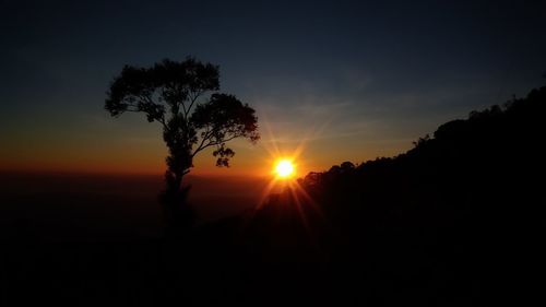 Silhouette trees against sky during sunset