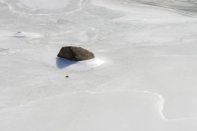 High angle view of rock on snow and ice