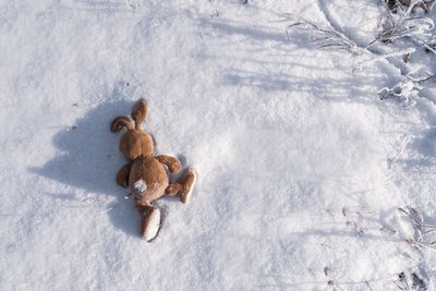 High angle view of snow covered land on field