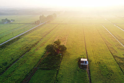 High angle view of agricultural field