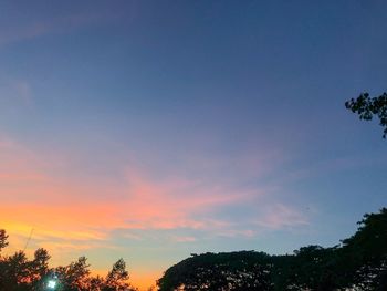 Low angle view of silhouette trees against sky at sunset