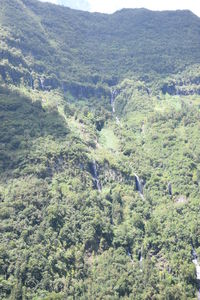 High angle view of trees and mountains