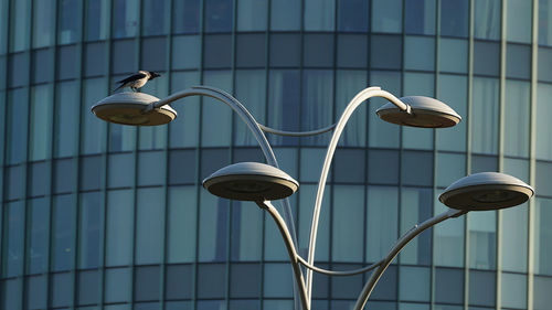 Low angle view of street light against building