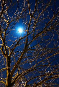 Low angle view of bare trees against sky