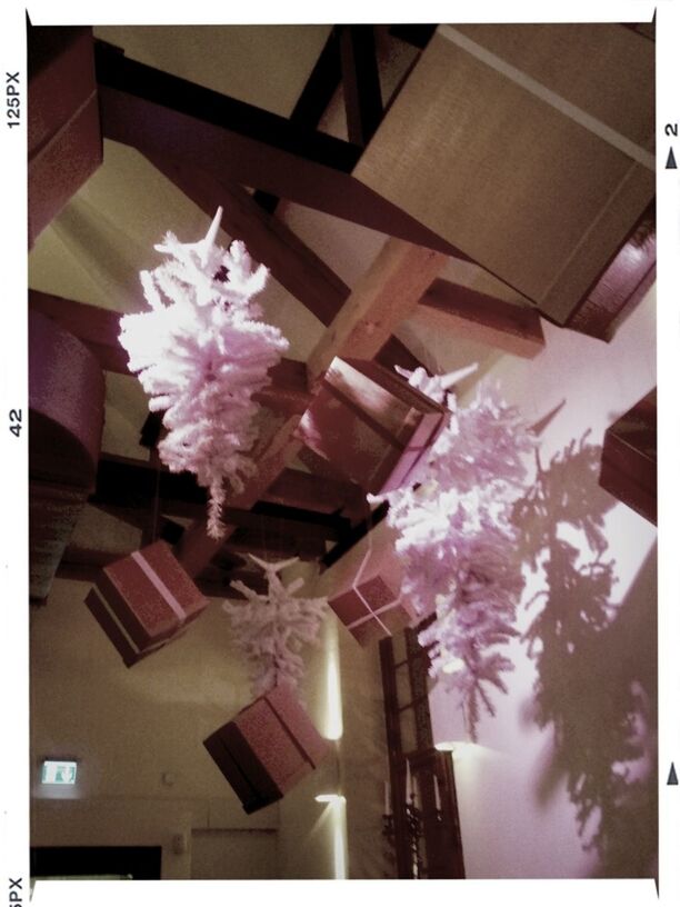 flower, low angle view, built structure, architecture, building exterior, decoration, transfer print, auto post production filter, indoors, fragility, lighting equipment, house, pink color, hanging, freshness, no people, illuminated, sunlight, growth, day