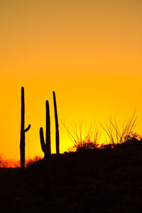 Silhouette cactus on field against orange sky