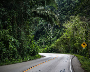 Empty country road along trees