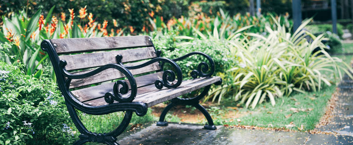 Empty bench in park
