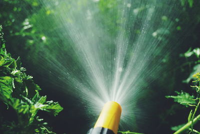 Close-up of garden hose spraying water on plants