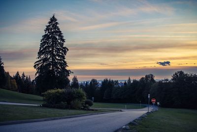 Road by trees against sky during sunset