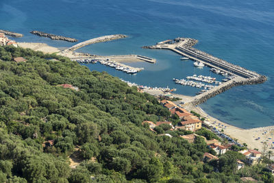 High angle view of sea and trees in city