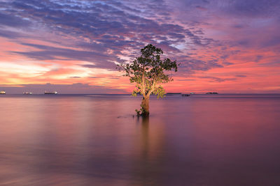 Scenic view of sea against sky at sunset