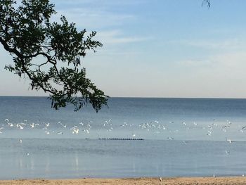 Scenic view of sea against sky