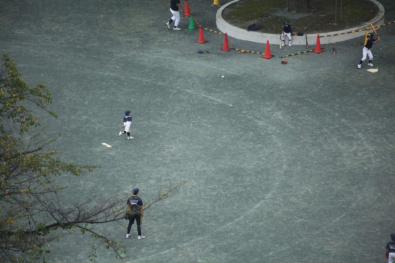 high angle view, day, real people, outdoors, leisure activity, full length, group of people, men, people, skateboard park, nature, tree, adult, adults only