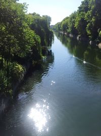 Reflection of trees in lake