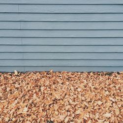 Full frame shot of wooden surface