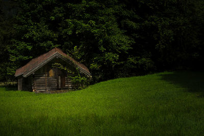 Hut on grassy field