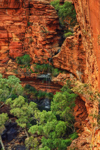 View of rock formations in forest