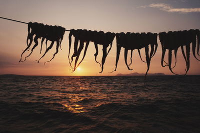 Silhouette octspus drying on beach against sky during sunset