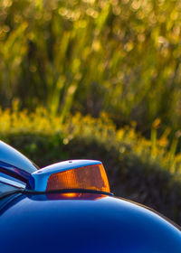 Close-up of blue vw beetle car indicator 