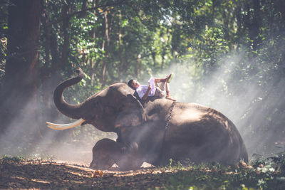 People relaxing in a forest