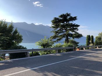 Road by trees against sky