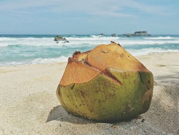 Close-up of fruit on sand at beach against sky