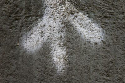 Close-up of sand on beach