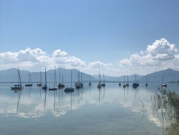 Sailboats in sea against sky