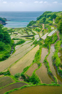 Scenic view of terraced paddy field against sea