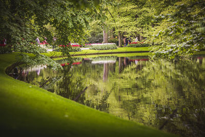 Scenic view of lake in park