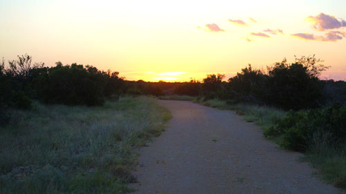 Road amidst trees against sky during sunset