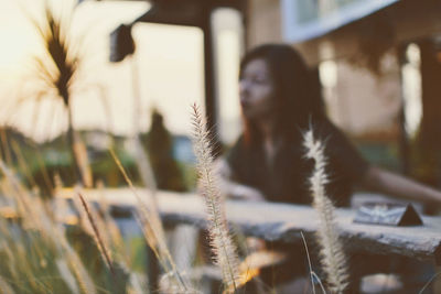 Close-up of plants with woman by railing in background