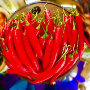 Close-up of red flower