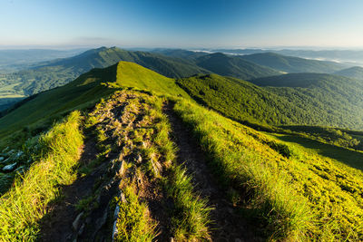 Polonina carynska in bieszczady mountains, poland