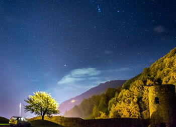 Low angle view of trees at night