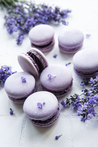 French macarons with lavender flavor and fresh lavender flowers on a tile background