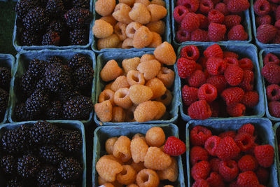 Berries for sale at a market in seattle, washington