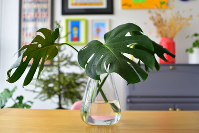 Close-up of vase on table at home