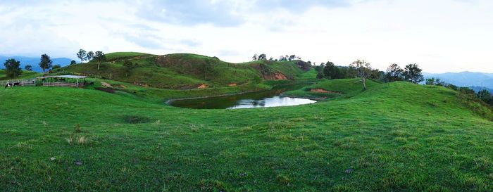 Scenic view of trees on field against sky
