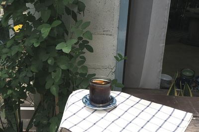 High angle view of potted plant on table