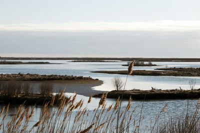 Scenic view of lake against sky