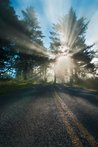 Road amidst trees against sky during sunset