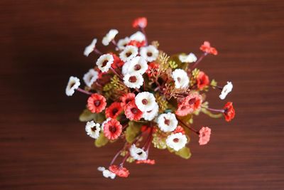 High angle view of flowering plant on table