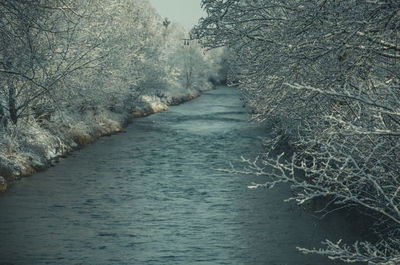 River flowing amidst frozen trees during winter