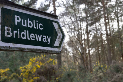 Low angle view of road sign against trees