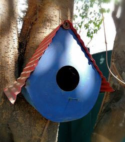 Close-up of blue hanging outdoors