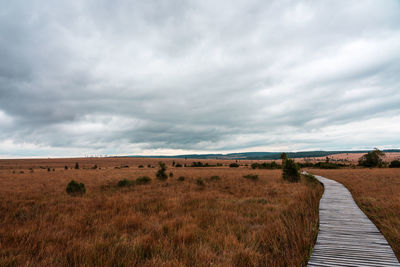 Moorland landscape of the high fens in autumn, belgium.