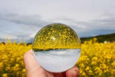 Midsection of person holding yellow ball on field against sky