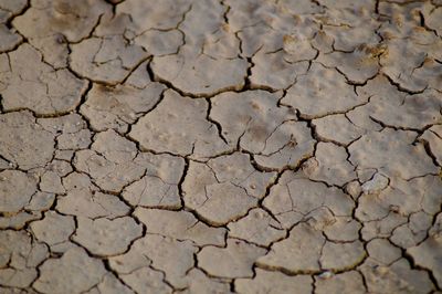 Full frame shot of cracked land